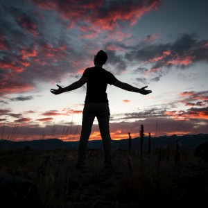 freely-steve-halama-82029