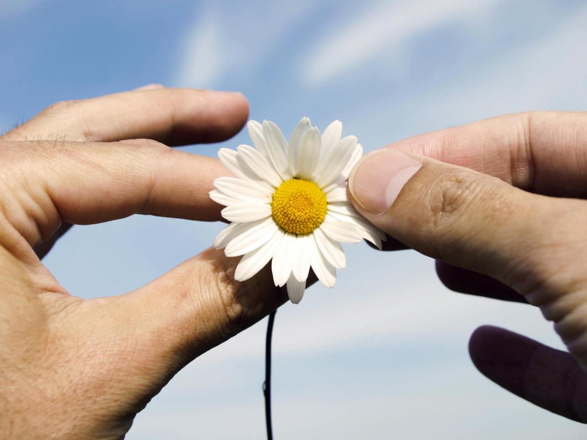 Voluntad de Dios: 10 Tips Para Escuchar y Seguir la Voz de Cristo